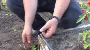 Как выбрать ленту для капельного полива?