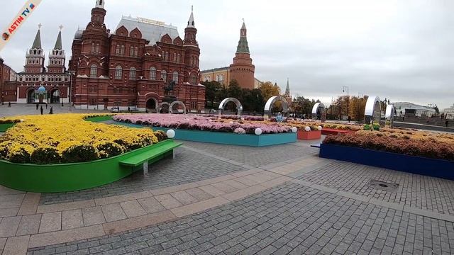 Москва. Хризантемный бум возле стен Кремля. смотреть онлайн