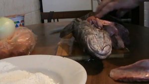 жарим налима со сметаной