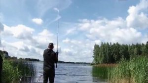 Серия 125. Фидер. Ловля подлещика и плотвы. Рыбалка с Нормундом Грабовскисом.