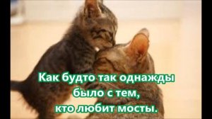 MakSim - Мама кошка (MakSim - mom cat) with lyrics