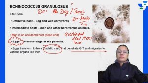 Conquer NEET PG 2022: Parasitology Part 6 | Microbiology | Let's Crack NEET PG | Dr.Muskan