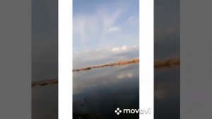 Р.гумбейка.разлилась