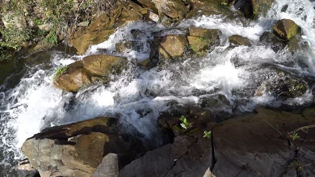 Пруд на реке Дражные Тайлы смотреть онлайн