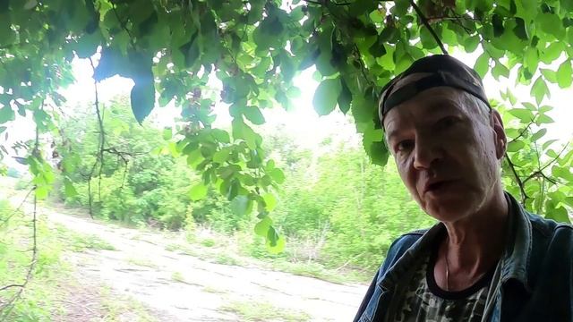 Сенатор  США проговорился о плане элиты финансировать войну, как прибыльное мероприятие.