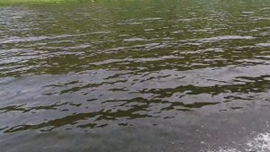 РИБ Вояж 370 + Тohatsu 18 (4 чел. скорость 32 км/ч).