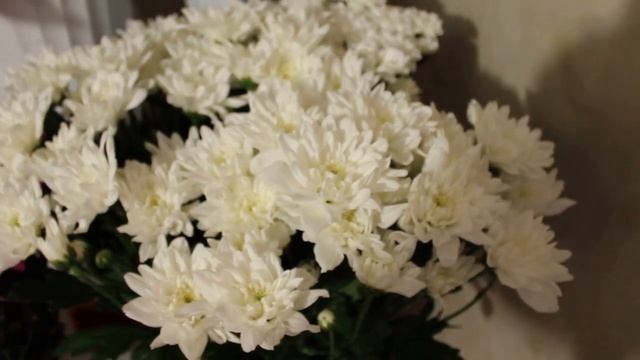 Цветы для любимых. Льгов смотреть онлайн