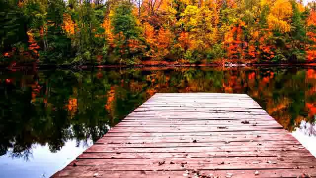 Ошо, Бодхидхарма - 20. Вы даже не успеете моргнуть, озвучивает Nikosho смотреть онлайн