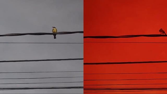 Color Grading - Nikon Coolpix S3300 [Lado a Lado] смотреть онлайн