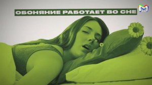 Дырявая память, или Управляем воспоминаниями || Mash Room объясняет