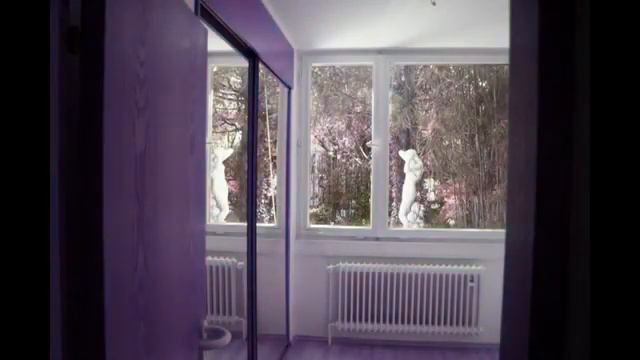 Вилла мечты,  дом в Баден   Бадене Германия avi