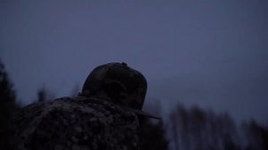 Налет гуся на тяге вальдшнепа.