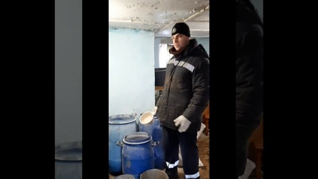 Выгодное кормление свиней. смотреть онлайн