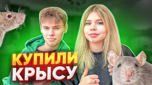 КУПИЛИ КРЫСУ?!