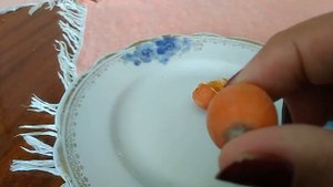 Пальма "Лисий хвост" (Водиетия), Израиль, Кирьят-Гат.