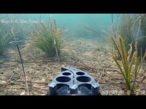 Подводный дрон Fifish v6 exp пробное погружение
