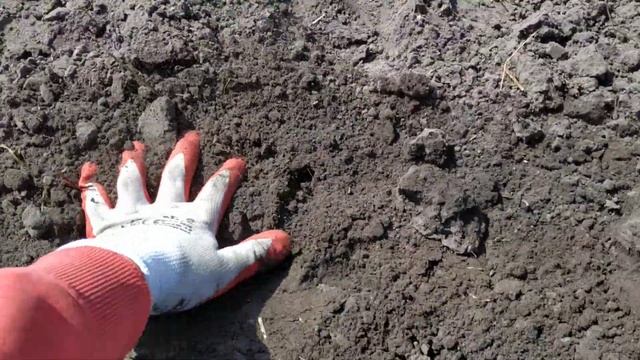 Висаджування гарбузів 2019 )))) смотреть онлайн