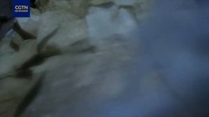 Реинкарнация Живых Будд:Как выбирают Даллай-ламу