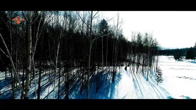 WOIDEAL 150CC automatic and electric motorcycle snowmobile смотреть онлайн