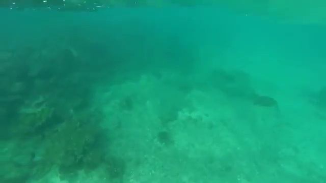 Самолет упал в океан, установленная на нем камера продолжала снимать The plane crashed смотреть онлайн