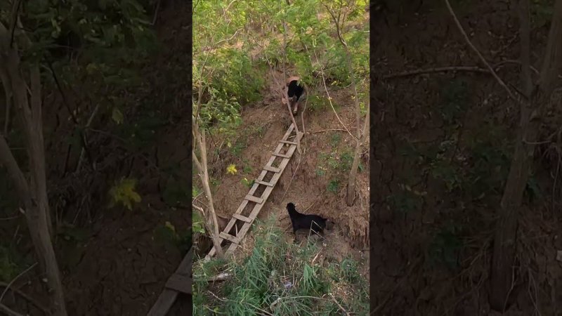 Игорек полез по секретному лазу на большой обрыв #ейск #море #жизньнаюге #азовскоеморе #shorts