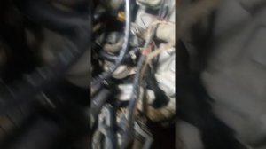 Дополнительное охлаждения масла в АКПП на subaru forester sg5