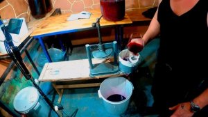 РЕЦЕПТ вина из винограда Амурский Платовский Таежный 2