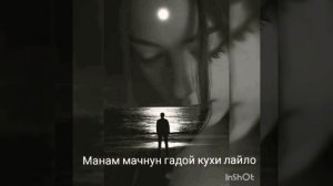 Некруз мамадамонов манам мачнун гадой кухи лайло