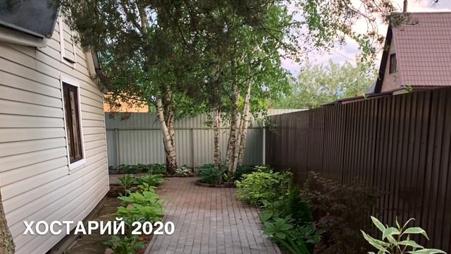 Garden. Моя любимая дача. До и после. преображение  дачи. Удача на даче 2021