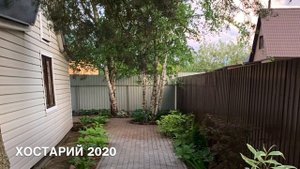 Garden. Моя любимая дача. До и после. преображение дачи. Удача на даче 2021
