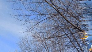 Тайна имени Юлия. Характер и судьба... ЗНАЧЕНИЕ ИМЕНИ.