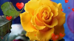 Розовые розы. Светке Соколовой