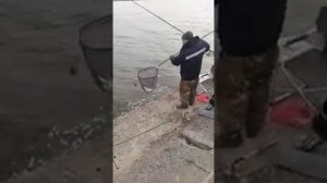 Аксайские плиты!!! Ловля леща!!! 06.03.2021г.