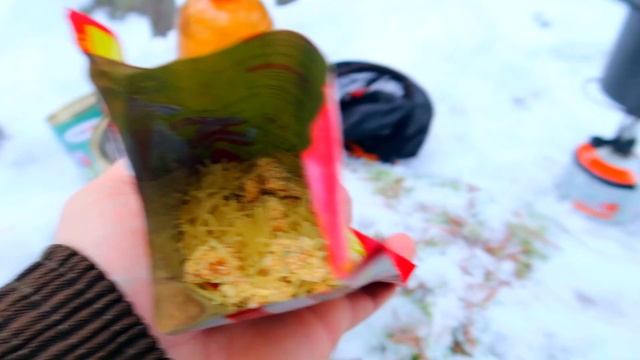 Поход в лес,зимний сосновый лес,отдых на природе. смотреть онлайн