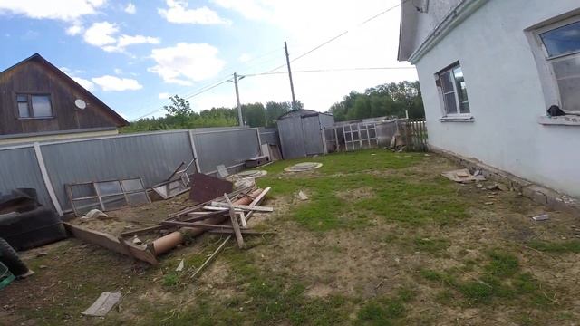 выпустил куропаток на волю, наседка вывела цыплят. смотреть онлайн