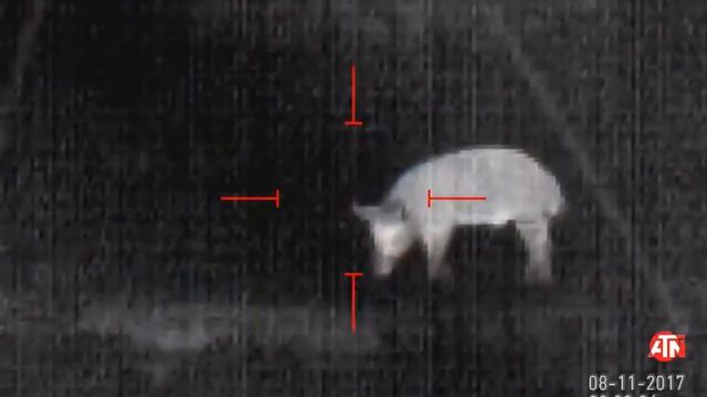 Пожалуй лучший тепловизор для охоты   ATN MARS HD 640 2.5-25x