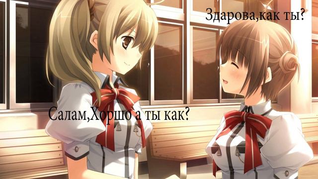 Научная Теория об Классах Анимешников в России.(устаревшая теория)