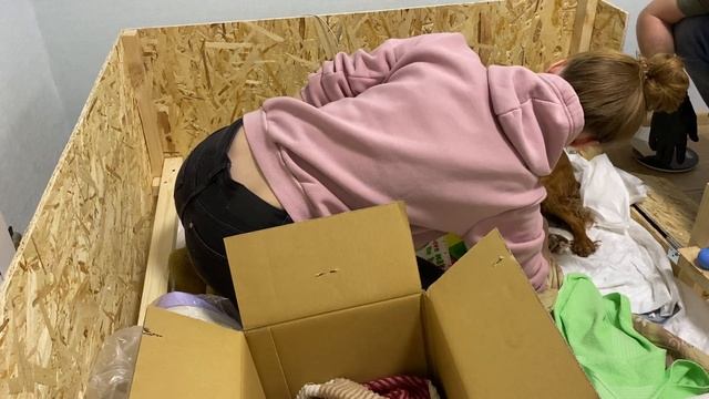 Роды Русский спаниель смотреть онлайн