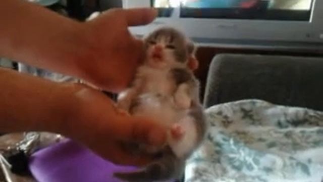 крепкий здоровый сон.... смотреть онлайн