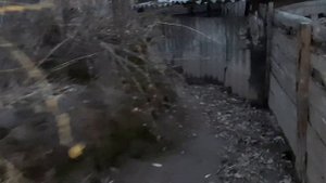 ГРОМАДНАЯ СВИНОМАТКА ДЮРОК