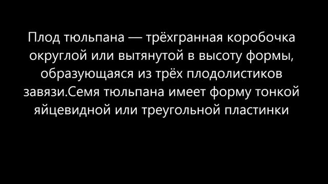 ЦВЕТЫ ТЮЛЬПАНЫ (все о тюльпанах) смотреть онлайн