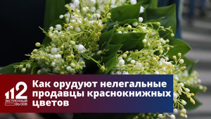 В Москве активизировались нелегальные продавцы ландышами