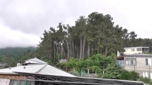 Поездом на Юг 2022. Часть-3. Прибываем в Адлер! Едем в Гагру! Обзор номера, прогулка по Гагре.