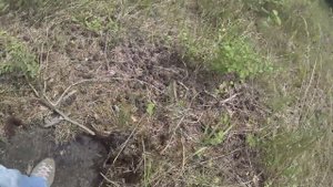 Гарделеген 2017