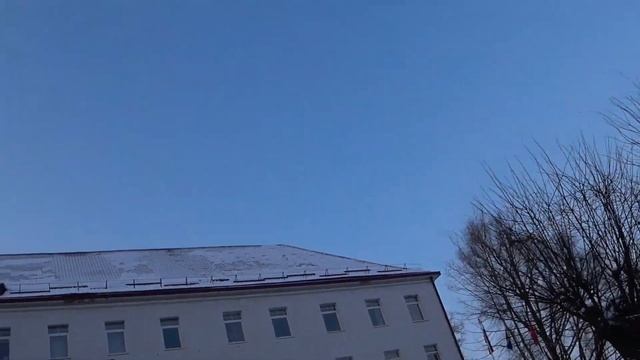 VLOG: Прогулка по г. Гусеву Калининградская область, лось, немецкие дома, улочки. смотреть онлайн