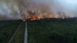 Пожар. Мордовский заповедник
