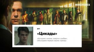 «История о жизни, смерти и любви». Обсуждаем первую серию «Цикад»