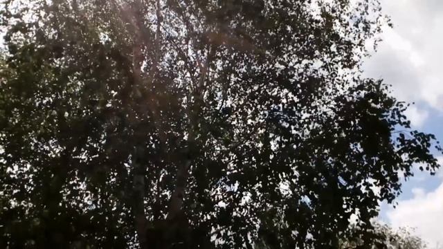 16 июня. Лука Ветряник, Лукьян Ветренник, Лукьян Ветряк. УЛЕТЯТ ВСЕ НЕПРИЯТНОСТИ/Народные приметы смотреть онлайн