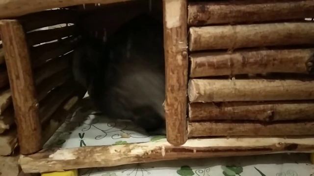 Эй... Кто в теремочке живёт? смотреть онлайн