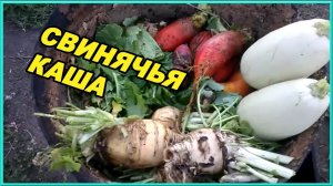 Каша для поросят, сам бы съел /Деревенская жизнь